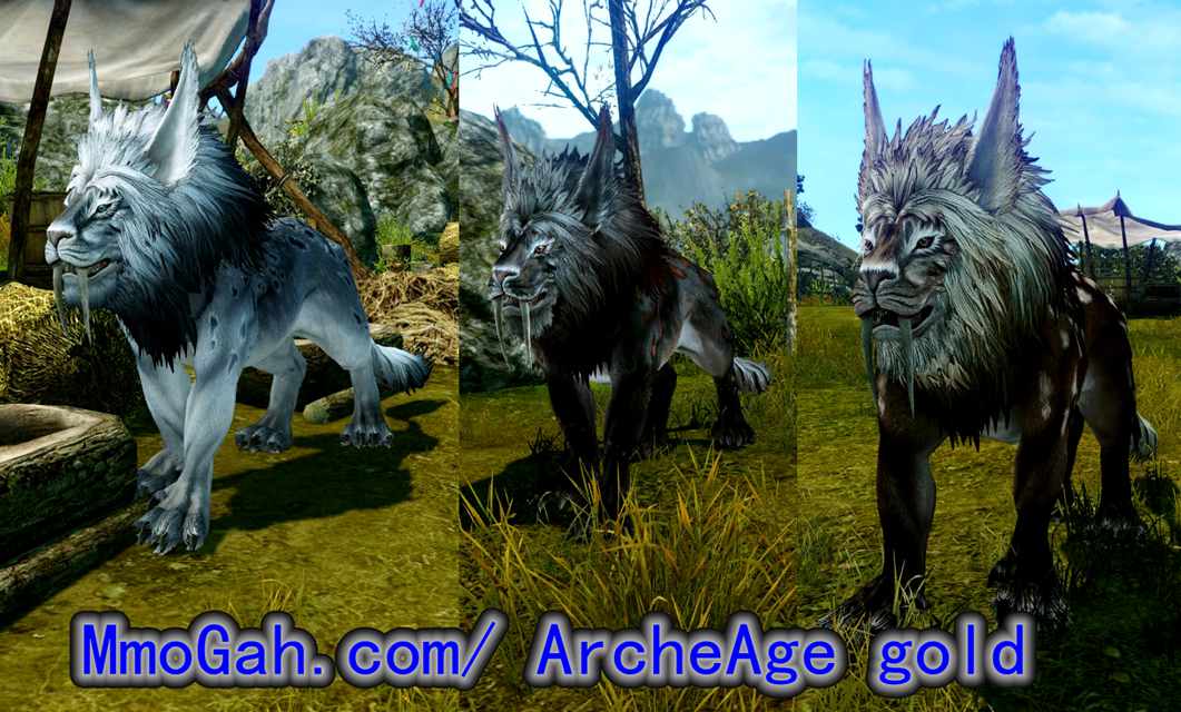 Archeage скальд гайд